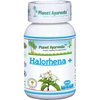 Ayumi Naturals Maisto papildas Halorhena, Planet Ayurveda, 60 kapsulių