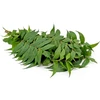 Ayumi Naturals Indinis nimbamedis Neem, Planet Ayurveda, 60 kapsulių