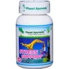 Ayumi Naturals Maisto papildas Stress Support, Planet Ayurveda, 60 kapsulių