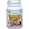 Ayumi Naturals Gulsčioji ragužė Tribulus Power, ekologiška, Planet Ayurveda, 60 kapsulių
