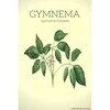 Ayumi Naturals Miškinė pokštenė Gymnema Sylvestrae, ekologiška, Planet Ayurveda, 60 kapsulių