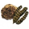 Plaukų kaukės ir šampūno milteliai Shikakai, Sattva Ayurveda, 100g