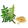 Ayumi Naturals Pluoštinė bosvelija ir ciberžolė Boswellia Curcumin, ekologiška, Planet Ayurveda, 60 kapsulių