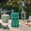 Pukka Herbs Gaivi arbata su eukaliptu Įkvėpkite, Pukka, 20 pakelių