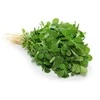 Ayumi Naturals Vaistinė ožragė Fenugreek, ekologiška, Planet Ayurveda, 60 kapsulių