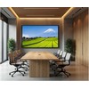 Monitorius JapanNext JAPANNEXT 139,7cm JN-IPS550UHD60F 16:9 3x HDMI UHD