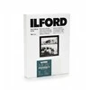 1x100 Ilford MG RC DL 44M 18x24