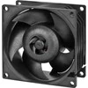 ARCTIC S8038-10K serverio ventiliatorius, 4-pin, 80mm