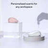 Asus Fragrance MD101 | Pelė | 2.4 GHz, Bluetooth | Rose Clay