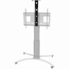 Laikiklis NEOMOUNTS BY NEWSTAR CAMERA SHELF FOR PLASMA-M2500/W2500-SERIES
