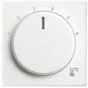 BUSCH JAEGER BJ 1794 R-84 1794 R-84 Zentralscheibe Temperatur. rund