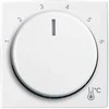 BUSCH JAEGER BJ 1794 R-914 1794 R-914 Zentralscheibe Temperatur. rund