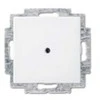 BUSCH JAEGER BJ 2538-914 Blindzentralscheibe alpinws Busch balance SI Abd.Datenkommunikation