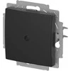 BUSCH JAEGER BJ 2538-915 Blindzentralscheibe mit Tragring Busch-balance® SI
