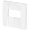 BUSCH JAEGER BJ 2539-914 Zentralscheibe aws Busch-balance SI Abd.Datenkommunikation