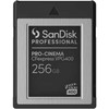 SanDisk Pro Cinema VPG400 CFexpress 256 GB (SDPCVN4-256G-GNANN) atminties kortelė