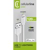 Cellular Line LIGHTNING-USB KABELAS, PAGAMINTAS IPHONE5 WHI