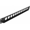 Delock 19? D-Typ Patchpanel 12 Port juodas