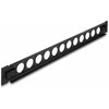 Delock 19? D-Typ Patchpanel 12 Port werkzeugfrei juodas