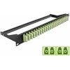 Delock 19? LWL Patchpanel 24 Port LC Quad lindgrün