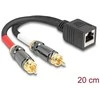 Delock Adapterkabel RJ45 Buchse zu 2 x Cinch Stecker juodas 20 cm