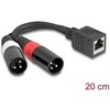Delock Adapterkabel RJ45 Buchse zu 2 x XLR 3 Pin Stecker juodas 20 cm
