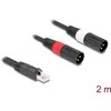 Delock Adapterkabel RJ45 Stecker zu 2 x XLR 3 Pin Stecker juodas 2 m