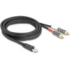 Delock Adapterkabel RJ45 Stecker zu 2 x Cinch Stecker juodas 2 m