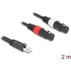 Delock Adapterkabel RJ45 Stecker zu 2 x XLR 3 Pin Buchse juodas 2 m