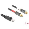 Delock Adapterkabel RJ45 Stecker zu 2 x Cinch Stecker juodas 2 m