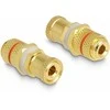 Delock Audio Adapteris Polklemme zu Polklemme zum Einbau, Farbring raudona