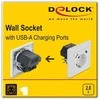 Delock įmontuotas lizdas su 2 x A tipo USB 2,8 A įkrovimo prievadu