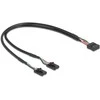 Delock Kabelis USB 2.0 Pfostenbuchse 2,54 mm 10 Pin zu 2 x USB 2.0 Pfostenbuchse 2,54 mm 4 Pin 30 cm