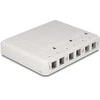 Delock Keystone Leergehäuse 6 Port für Glasfaser und Netzwerk baltas