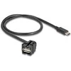 Delock Keystone Modul USB 2.0 A Buchse zu USB Type-C™ Stecker 250° mit Kabelis 0,5 m