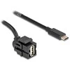 Delock Keystone Modul USB 2.0 A Buchse zu USB Type-C™ Stecker 250° mit Kabelis 0,5 m