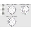 Delock 12408 - 4 dBi - 0.698 - 0.791 / 0.824 - 0.96 / 1.71 - 2.17 / 2.4 - 2.5 / 5.15 - 5.875 GHz - 50 ? - Omni-directional antena - SMA - 2.5:1 - 5.0:1