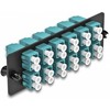 Delock LWL Adapteris Panel LC Duplex OM4 12 Port aqua