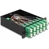 Delock LWL HD (High Density) Kassette MPO Stecker zu 12 x LC Duplex Buchse, 24 Fasern, Singlemode, Polarität A, 9/125 µm