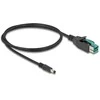 Delock PoweredUSB Kabelis Stecker 12 V zu DC 5,5 x 2,5 mm Stecker 3 m