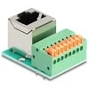 Delock RJ45 lizdas 90° kampu į gnybtų bloką su mygtuku Cat.5e