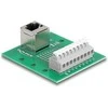 Delock RJ45 Buchse zu Terminalblock mit Drucktaster für Hutschiene gewinkelt