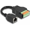 Delock RJ45 Kabelis Cat.5e Buchse zu Terminalblock Adapteris mit Drucktaster 15 cm