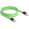 Delock RJ45 Netzwerkkabel Cat.6A Stecker zu Stecker SF/UTP schleppkettentauglich PUR (TPU) 2 m grün