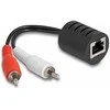 Adapteris AV Delock Stereo Audio Extender RJ45 gniazdo na 2 x wtyk Cinch Cat.5 do 50 m Rinkinys 2 sztuki
