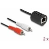 Adapteris AV Delock Stereo Audio Extender RJ45 gniazdo na 2 x wtyk Cinch Cat.5 do 50 m Rinkinys 2 sztuki