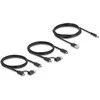 DELOCK USB 5 Gbps Switch 4 x Gert und 2 x Host