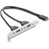 Delock USB Typ-E Key A Stecker zu 2 x USB 5 Gbps Typ-A Buchse mit Slotblech Anschlusskabel 35,5 cm