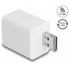 Delock WLAN EASY-USB Schalter Smart Life