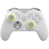 Pad Canyon Dragonshock valdiklis Nebula Pro Wireless baltas jungiklis